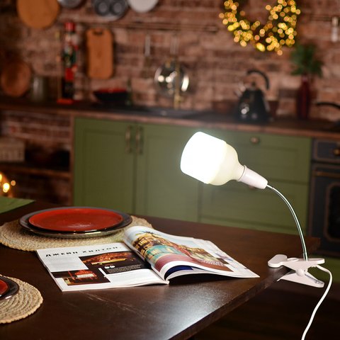Купити Настільна лампа на Акамуляторі 30Вт, LED лампочка з цоколем E27 , ціна 599 грн в магазині Qrasa.ua