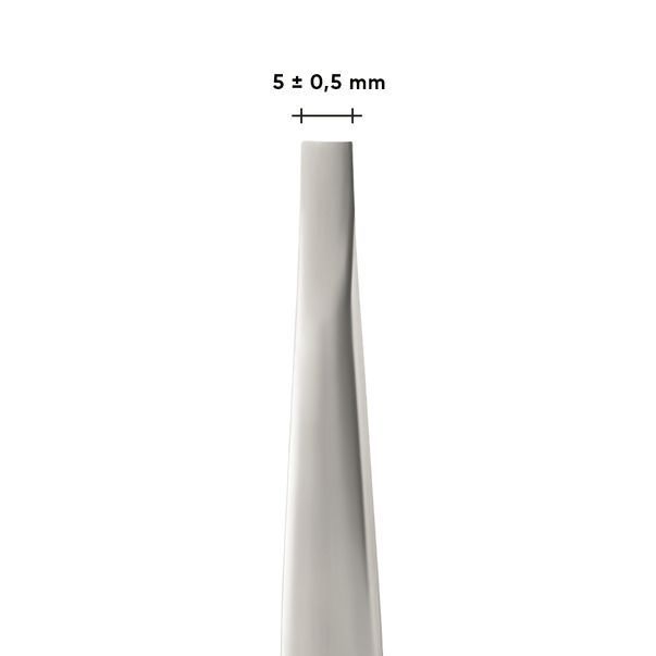Купить Пинцет для бровей STALEKS PRO EXPERT 10 TYPE 1 TE-10/1 , цена 261 грн, фото 2