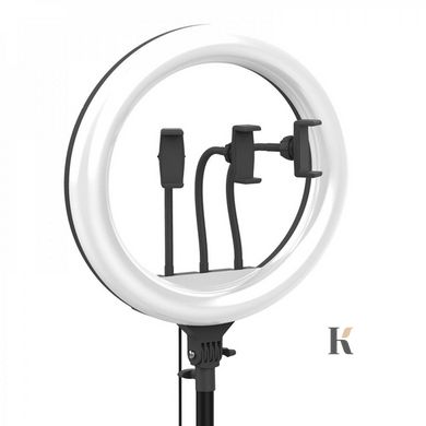 Купить Профессиональная кольцевая лампа ZB-F348 45 см (3 крепления, пульт, сумка) , цена 1 960 грн, фото 6