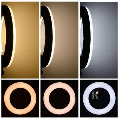 Купить Профессиональная кольцевая лампа ZB-F488 55 см. (Пульт, штатив) , цена 1 599 грн, фото 9