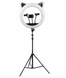 Профессиональная кольцевая лампа RK 45 50 см. Черная